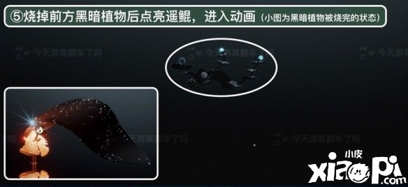 《光遇》潜海季季候任务五怎么做