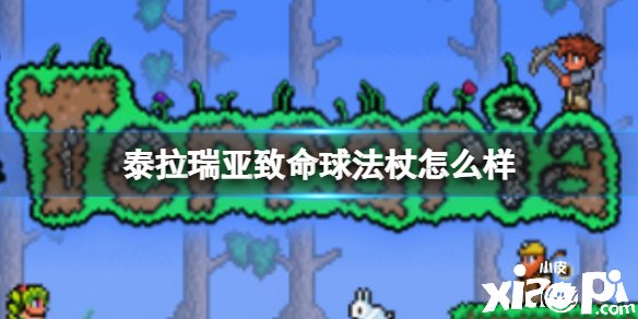 《泰拉瑞亚》致命球法杖怎么样 