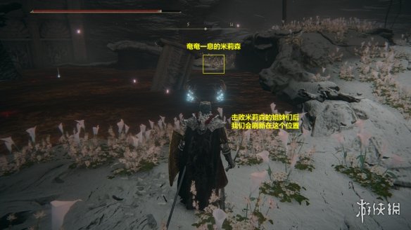 游侠网19