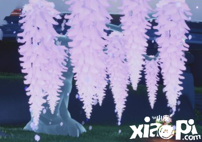 《光·遇》花憩节勾当