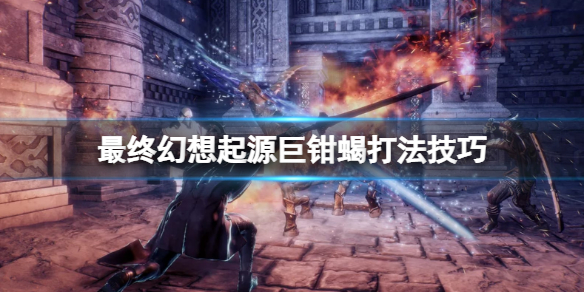 游侠网1