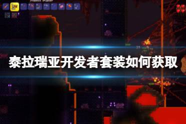 一定不要错过哦