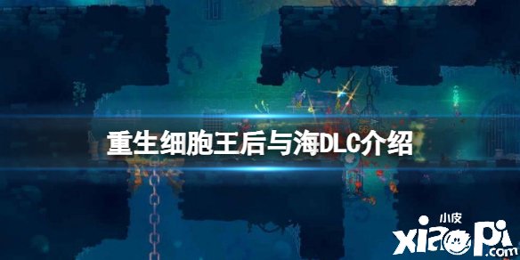 《更生细胞》王后与海DLC先容