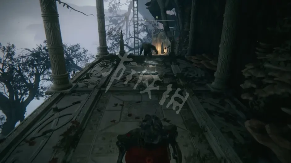 游侠网5
