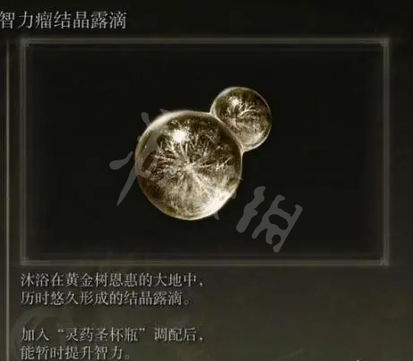 游侠网6