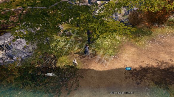 游侠网