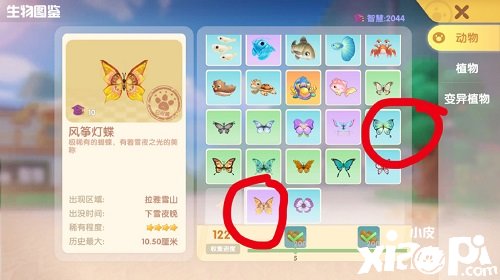 《摩尔庄园》鹞子灯蝶位置攻略