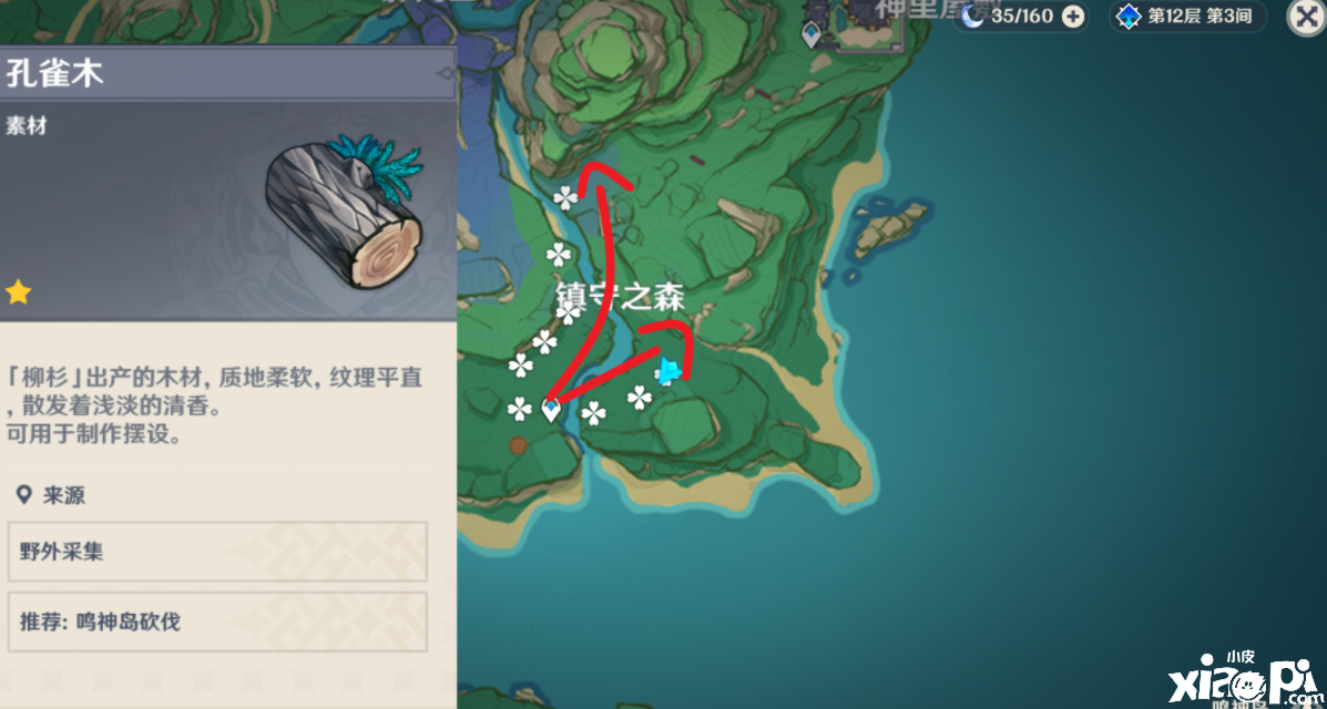 《原神》2.6版本孔雀木收罗点位分享