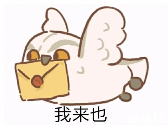 《动物餐厅》海德薇信件怎么获取