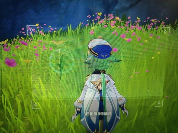 《原神》蒙德特产照片收集攻略