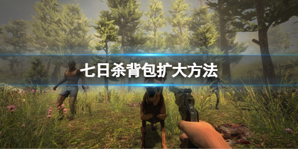 游侠网1