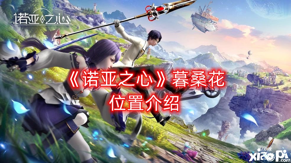《诺亚之心》暮桑花位置先容