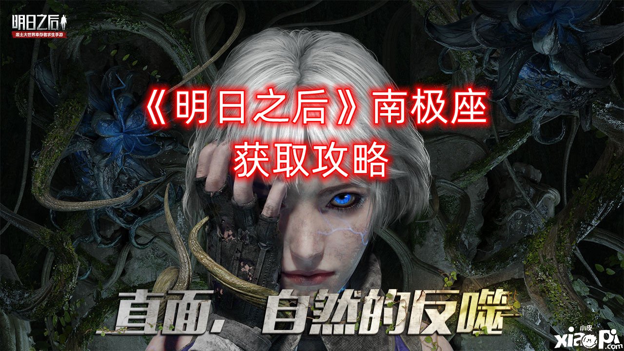 《嫡之后》南极座获取攻略