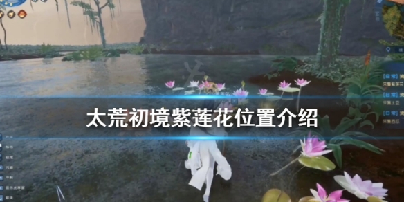 游侠网1
