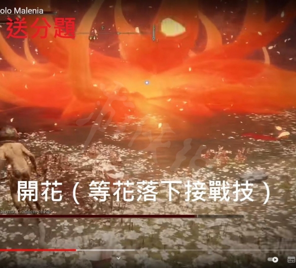 游侠网14