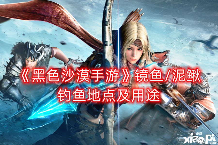 《玄色戈壁手游》镜鱼/泥鳅垂纶所在及用途