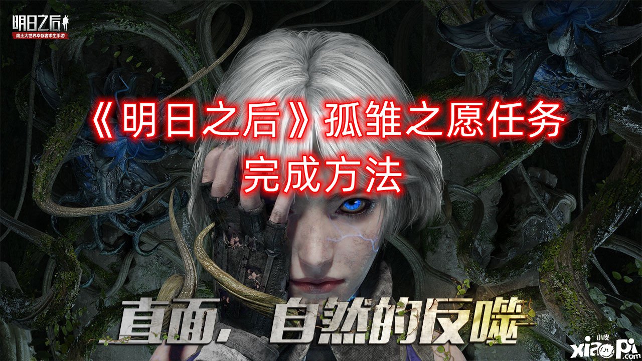 《嫡之后》孤雏之愿任务完成要领