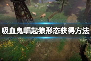 一起来看一下吧