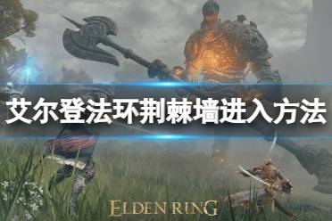 以上就是艾尔登法环荆棘墙进入方法全部内容