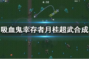 从上面的图里看