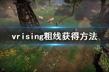 例如胡子或饰品