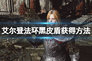 艾尔登法环黑皮盾获得方法 黑皮盾盾牌位于利耶尼亚湖西北的卡利亚城寨中