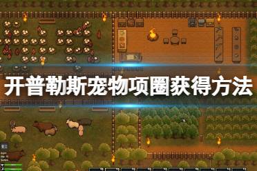 这里有丰富的生物圈