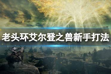 以上就是老头环艾尔登之兽新手打法分享全部内容