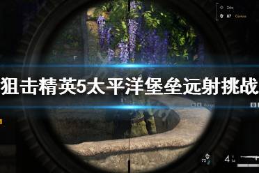  太平洋这个远距离射击挑战想要做可以站在出生点往雷达走一点的草地上