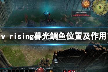 《吸血鬼崛起》v rising暮光鲷鱼有什么用?v rising暮光鲷鱼位置及作用