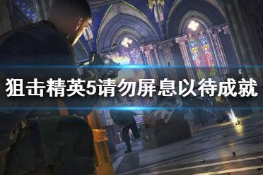 在这款游戏中你需要扮演一名杰出的狙击手拯救被轴心国入侵的国家