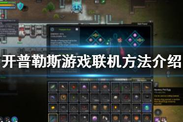 游戏联机方法介绍 1.让房主邀请玩家