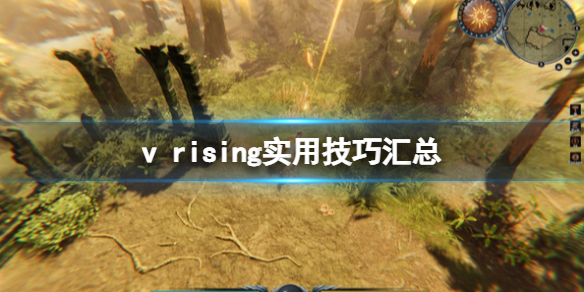 游侠网1