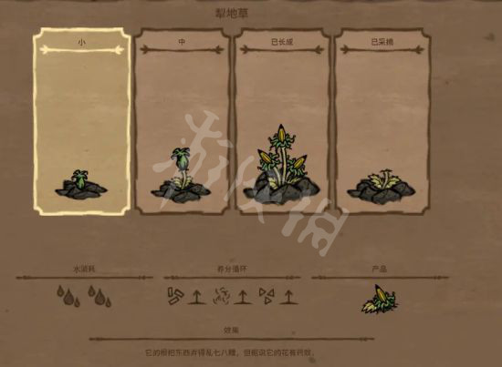 游侠网5