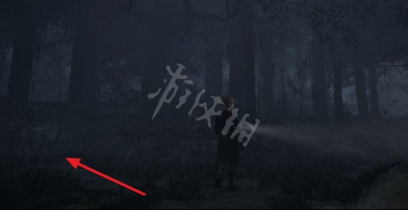 游侠网5