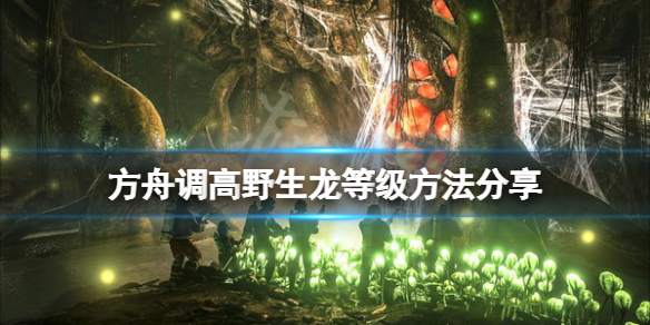 游侠网1