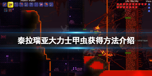 游侠网1