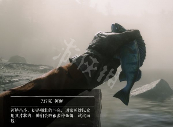 游侠网3