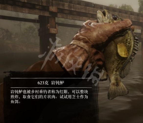 游侠网4