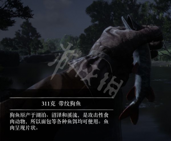 游侠网5