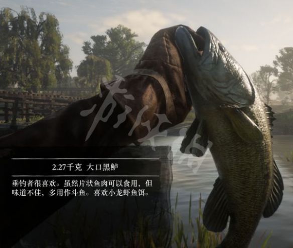 游侠网9