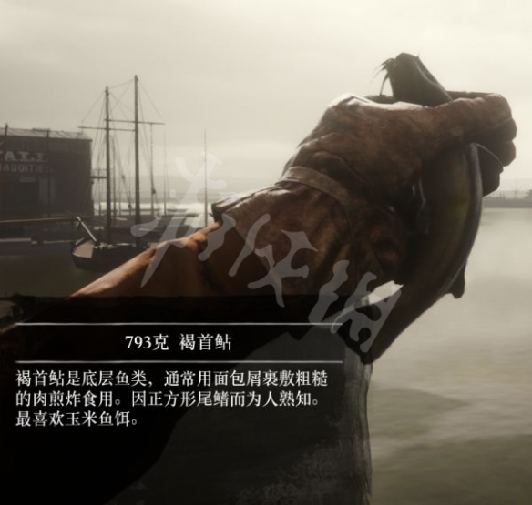 游侠网6