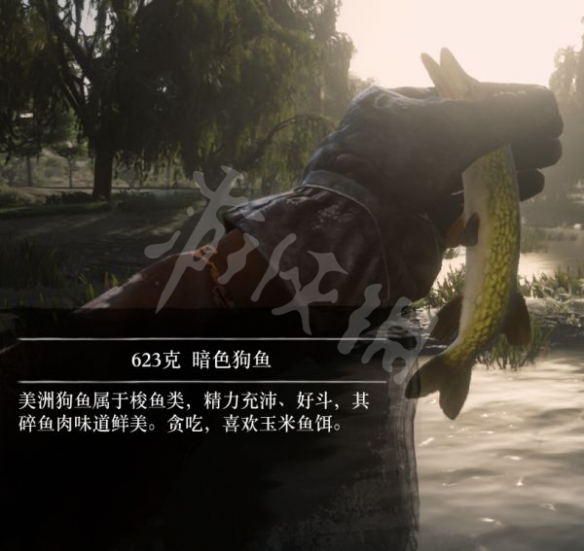 游侠网7
