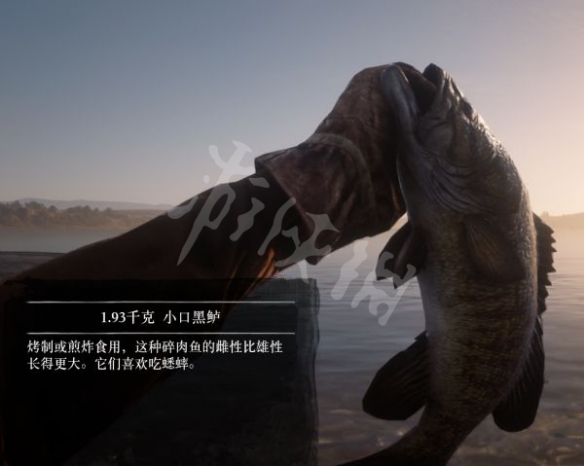 游侠网8