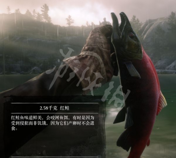 游侠网11