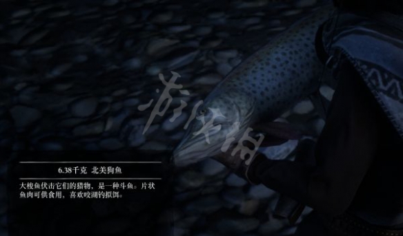 游侠网12