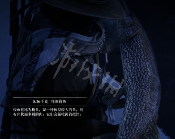 游侠网13