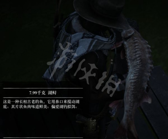 游侠网14