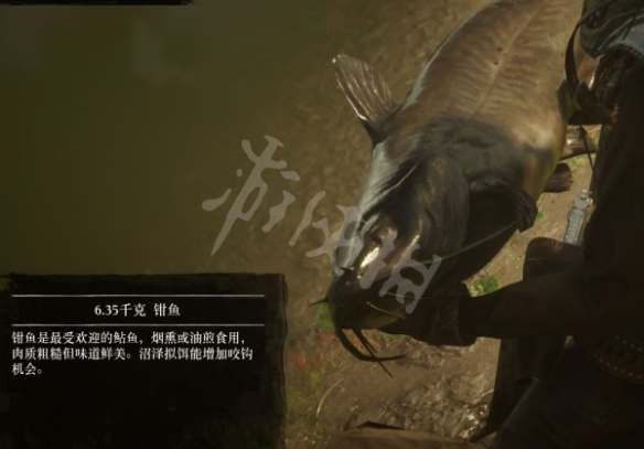 游侠网16