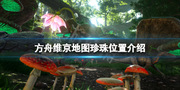 游侠网1